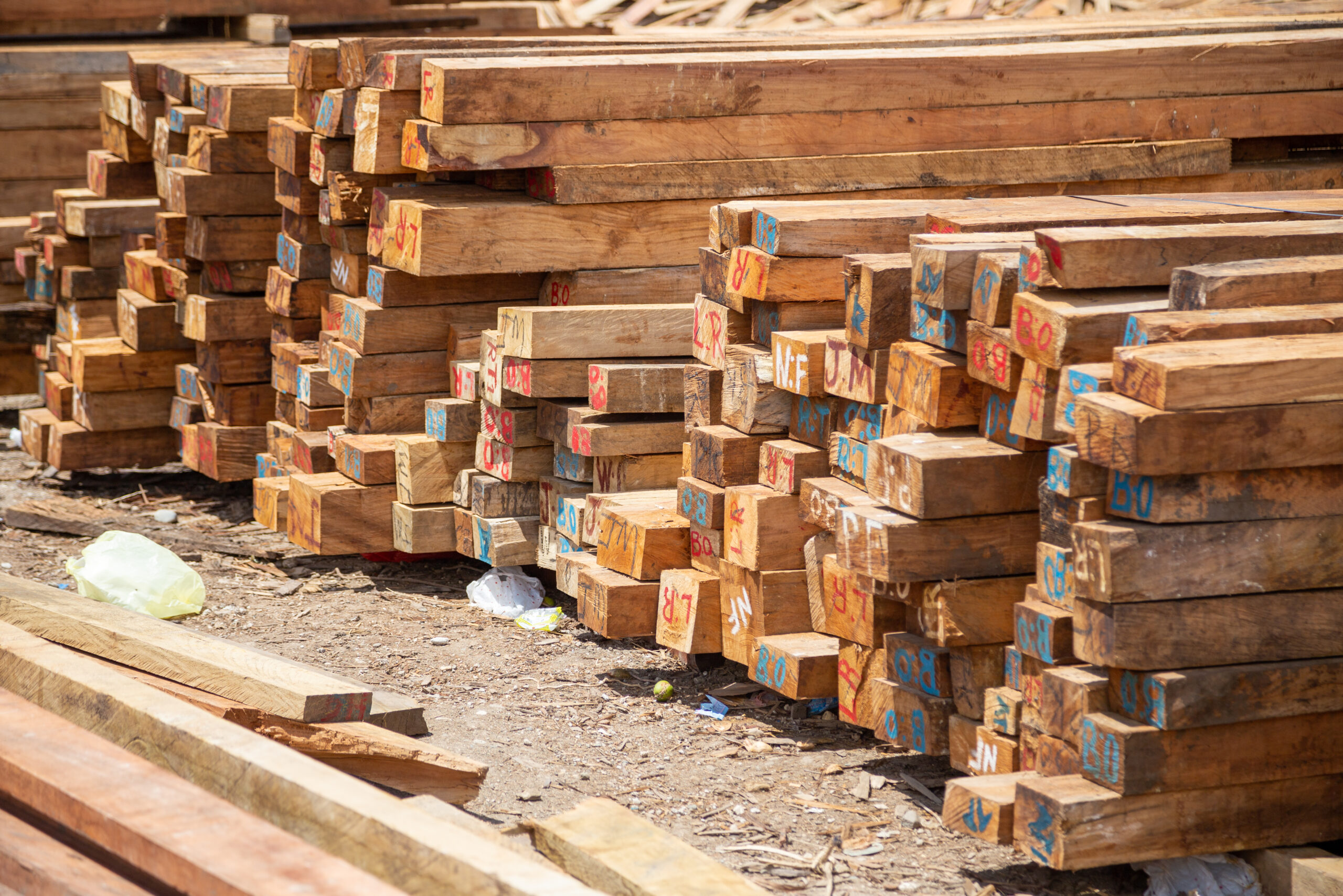 Sawn Timber & Kayu Solid - Gambar 6