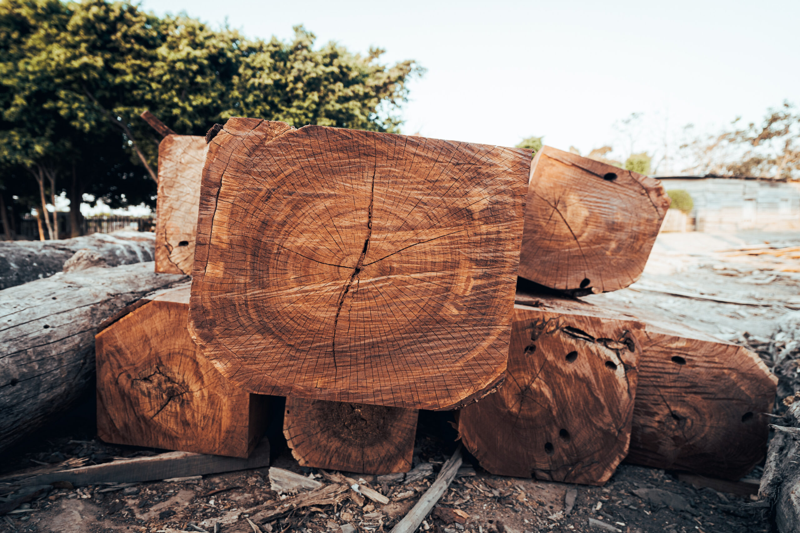Sawn Timber & Kayu Solid - Gambar 4