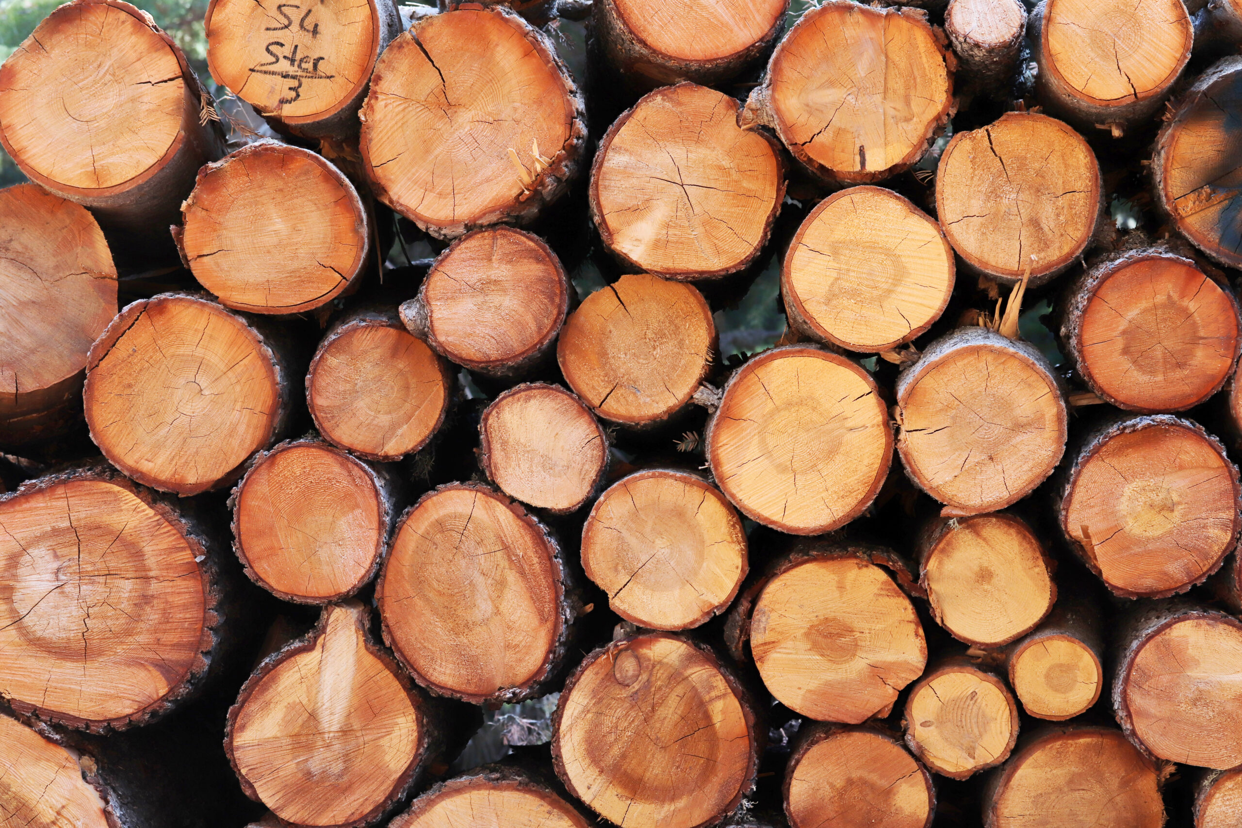 Sawn Timber & Kayu Solid - Gambar 3